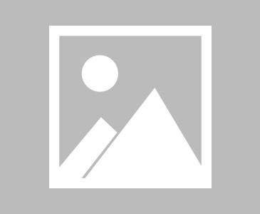 新疆vs青岛首发阵容详情 一览(2025年08月16日)